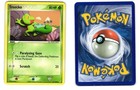 Treecko