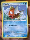 Magikarp