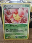 Cherrim