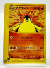Dark Typhlosion