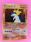 Dark Typhlosion