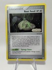 Root Fossil