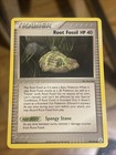 Root Fossil