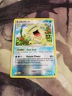 Ludicolo