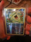 Ludicolo