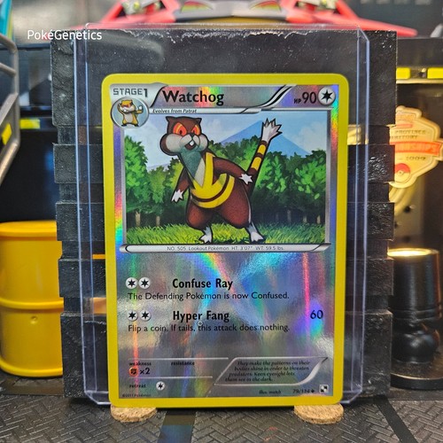 Watchog