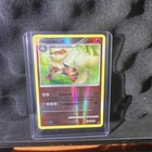 Arcanine