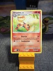 Arcanine