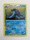 Carracosta