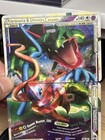 Rayquaza & Deoxys LEGEND