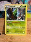 Metapod