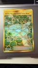 Aether Paradise Conservation Area