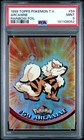 Arcanine