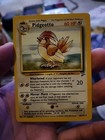Pidgeotto