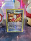 Trainers' Mail
