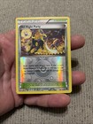 Trainers' Mail