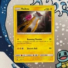 Raikou