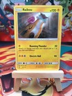 Raikou