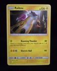 Raikou
