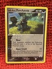 Poochyena