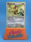 Pidgeotto