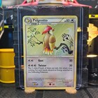 Pidgeotto