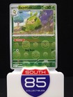 Swadloon