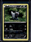 Poochyena