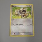 Zigzagoon