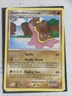 Gastrodon West Sea