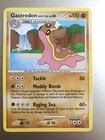 Gastrodon West Sea
