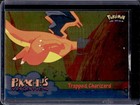 Trapped Charizard