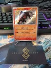 Paldean Tauros