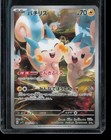 Pachirisu