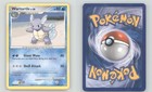 Wartortle