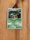 Torterra