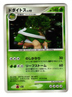 Torterra
