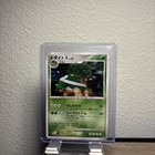 Torterra