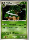 Torterra