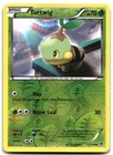 Turtwig