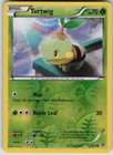 Turtwig