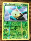 Turtwig
