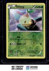 Turtwig
