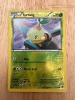 Turtwig