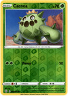 Cacnea