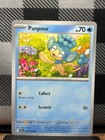 Panpour