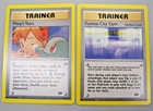 Fuchsia City Gym