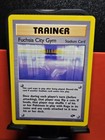 Fuchsia City Gym