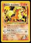 Blaine's Growlithe