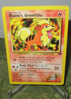 Blaine's Growlithe